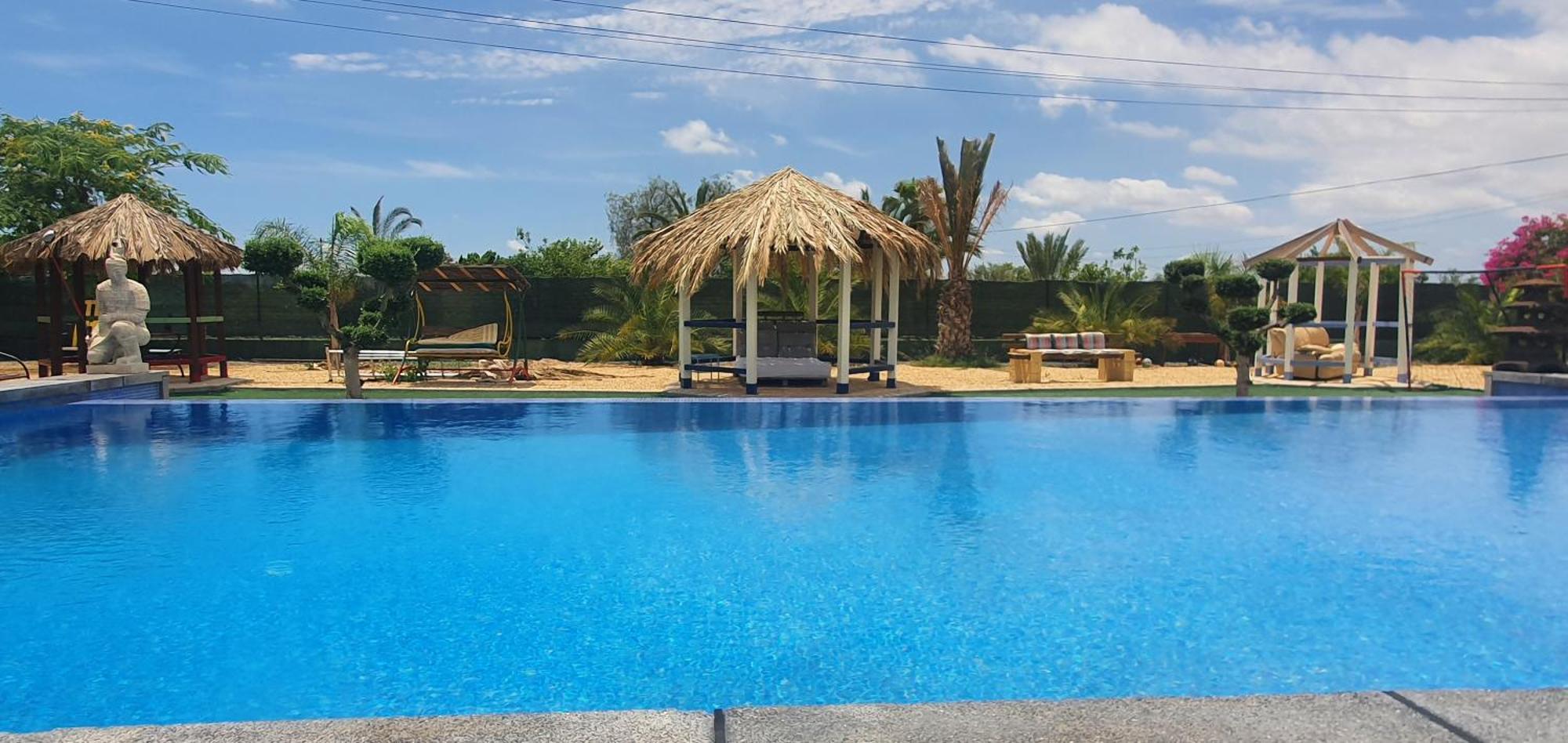 Casadelfenix Hotel Crevillente Exterior photo